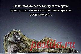 Сотрудники..))) может найдете знакомых?