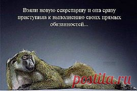 Сотрудники..))) может найдете знакомых?