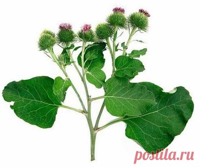 (52) Одноклассники