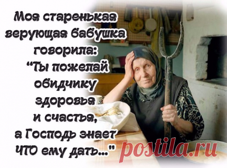 Нет худа без добра. Плиний Старший