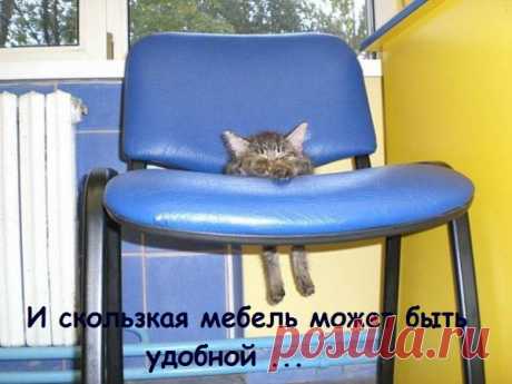 Прикольные котята