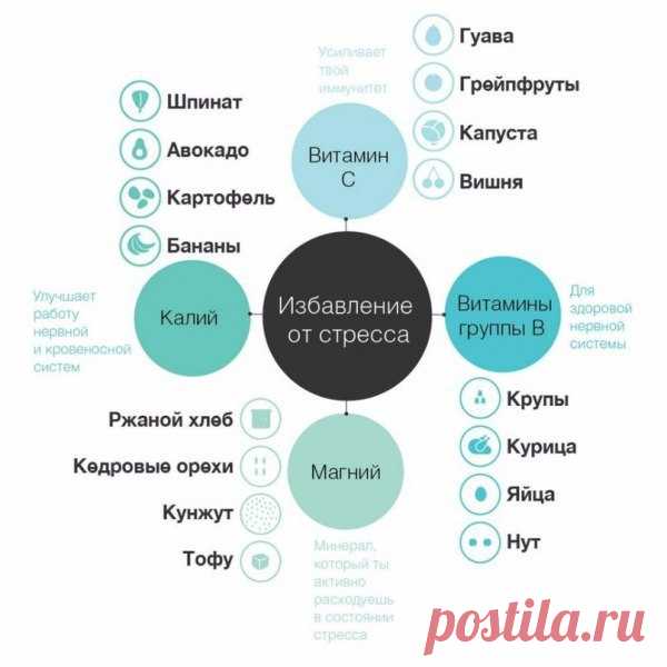 (1) Мой Мир@Mail.Ru