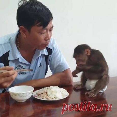 Watch - Интересное