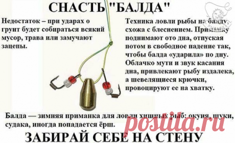Балда!..