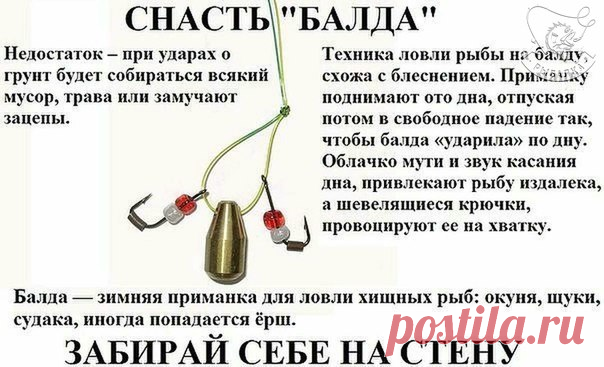 Балда!..