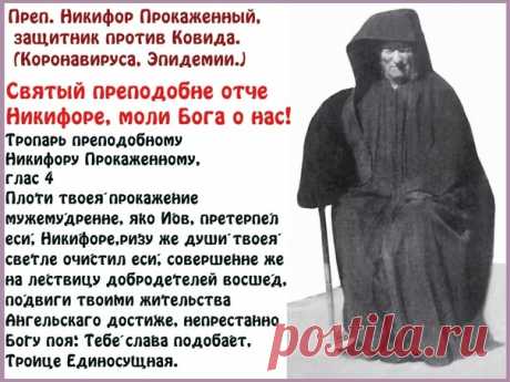 Святый преподобне отче Никифоре, моли Бога о нас!
Преп. Никифор Прокаженный, защитник против Ковида.

Греческий Святой начала 20-го века, страдавший от этой тяжелой болезни, в начале разгара мировой эпидемии в Европе (прибл. начало марта) появился в видении одному верующиму из Греции, а потом и православному журналисту из Болгарии. Его слова: Скажите людям, чтобы они не боялись этого вируса, это пройдет. И не боитесь святого причащения, причащайтесь! А если кто и заболеет,...