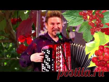 Над рекой калина спелая ☀️ Вышибает СЛЕЗУ эта РВУЩАЯ  душу песня под Баян! ╰❥ Играй гармонь любимая!