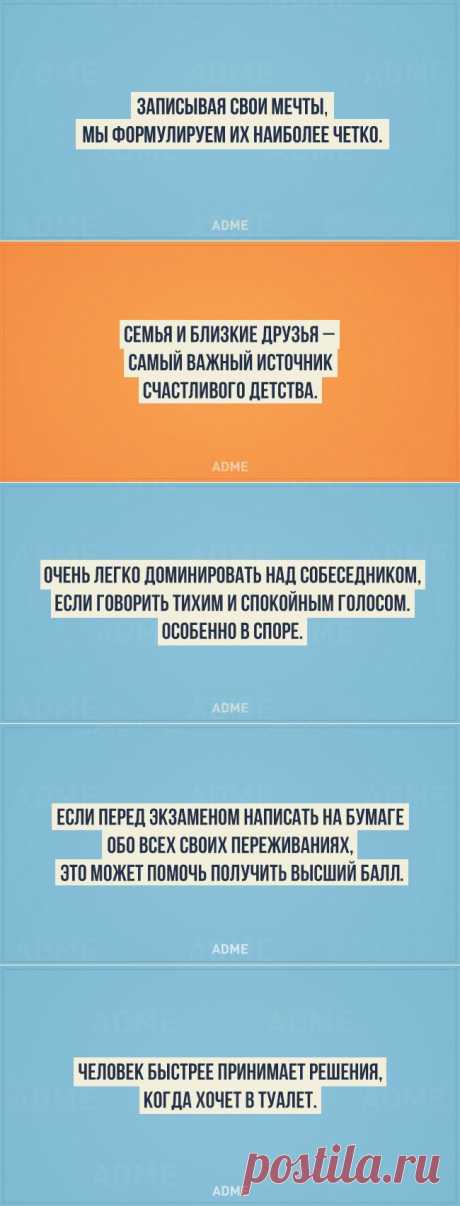 20 ценных фактов из психологии
