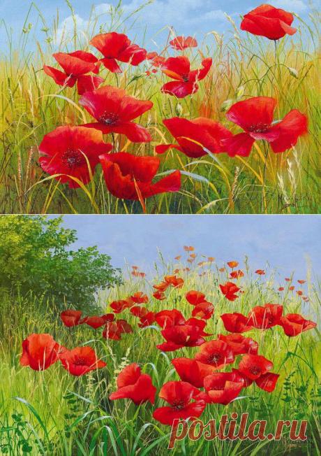 (24) Одноклассники