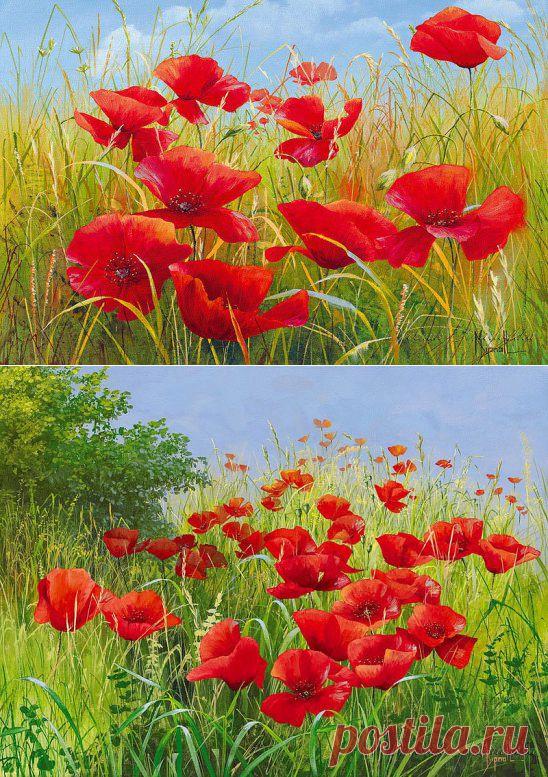 (24) Одноклассники