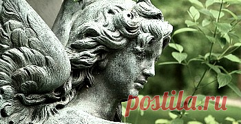 Афоризмы и цитаты о природе