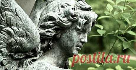 Афоризмы и цитаты о природе