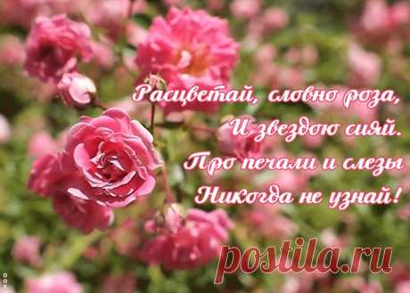 Открытка с розами с красивыми словами