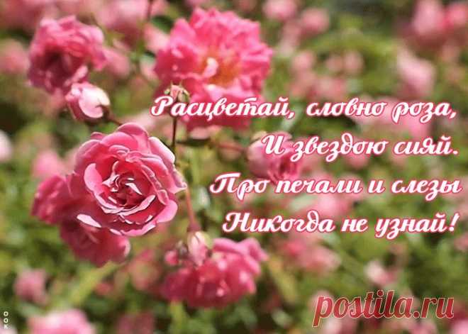Открытка с розами с красивыми словами