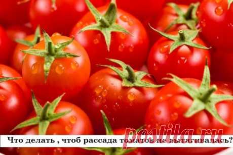 (68) Одноклассники