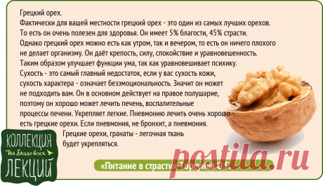 Грецкий орех