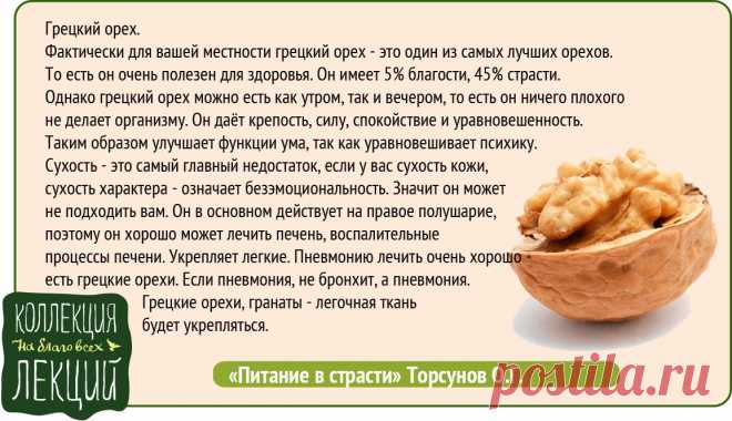 Грецкий орех