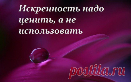 Кто любит пошлость - та его найдет,
Кто дни в разврате лишь всегда проводит,
Ну кто его осудит? А быть может кто его поймет?!
Свою судьбу вершит он сам, и с ним никто не спорит.
,,,,,,,,,,,,,,,,,,,,,,,,,,,,,,,,,,,,,,,,,,,,,,,,,,,,,,,,,,,,,,,,,,,,,,,,,,, ,,,,
Но искренности каплю очень важно сохранить
И другу верному в душе своей открыть.