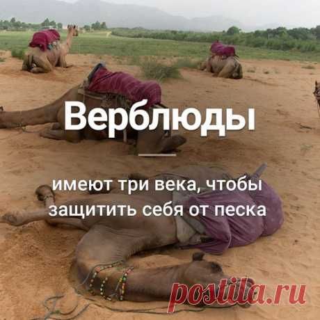 Узнай сегодня