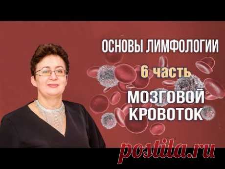Основы лимфологии | Мозговой кровоток | Шишова Ольга | часть 6