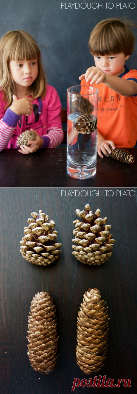 Шишка Наука - Playdough Платону
