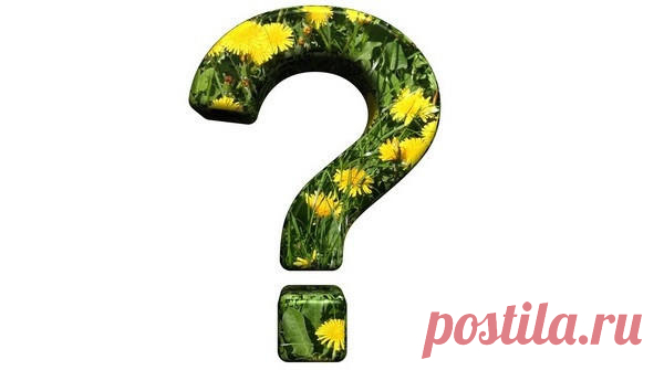 Как подкормить помидоры дрожжами? - ответы экспертов 7dach.ru