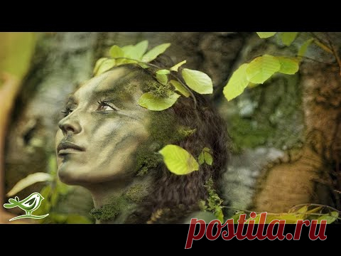 8 часов мистической расслабляющей музыки • Арфа, флейта, фортепиано и струнные для сна и медитации