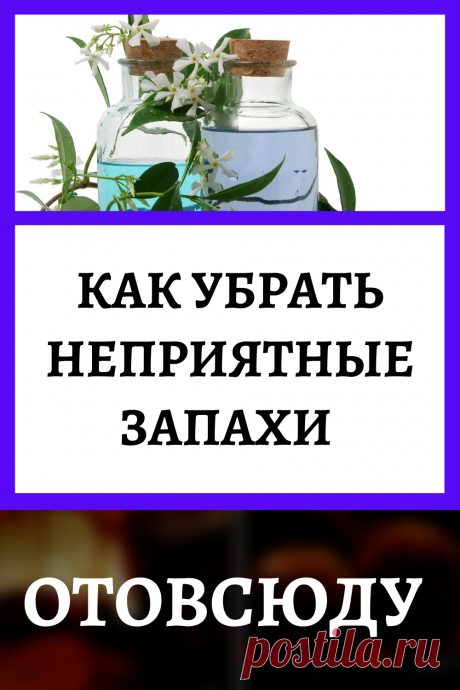 Как убрать неприятные запахи в квартире отовсюду
