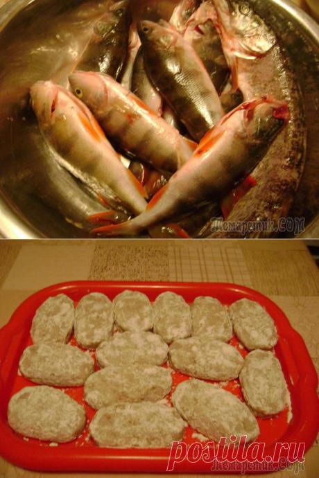 Котлеты из речной рыбы, с начинкой | Давай поговорим