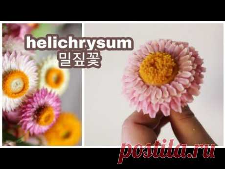 앙금플라워 밀짚꽃 helichrysum flower piping techniques