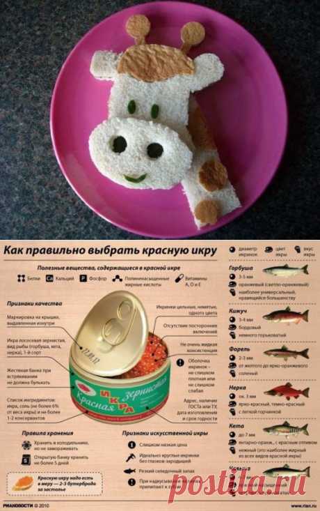 Как выбрать красную икру