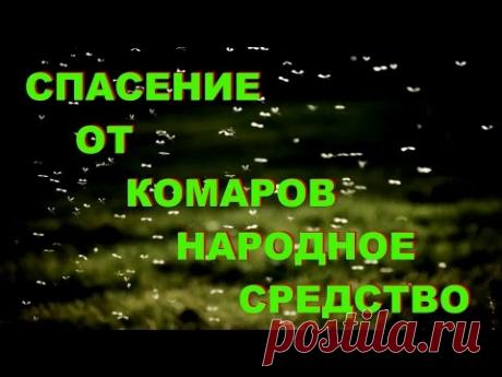 СПАСЕНИЕ ОТ КОМАРОВ НАРОДНОЕ СРЕДСТВО