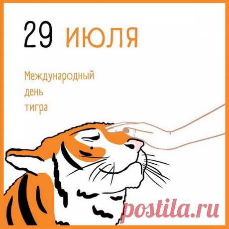Ни минуточки на месте,
Весь в движении, в борьбе,
Полон страсти, полон жизни
Тигр шагает по судьбе.