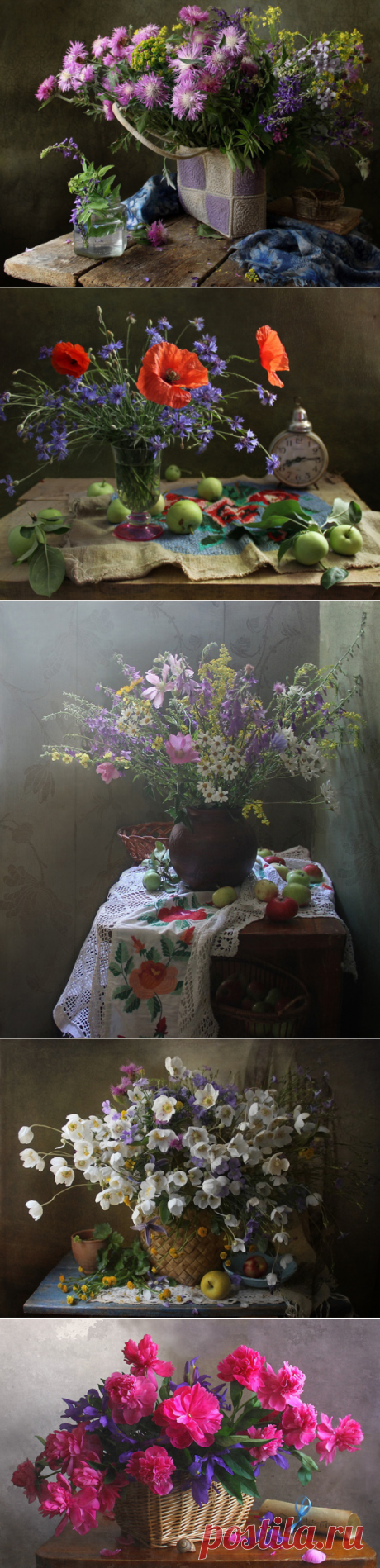 ПРОСТО МИЛЫЕ ЦВЕТЫ