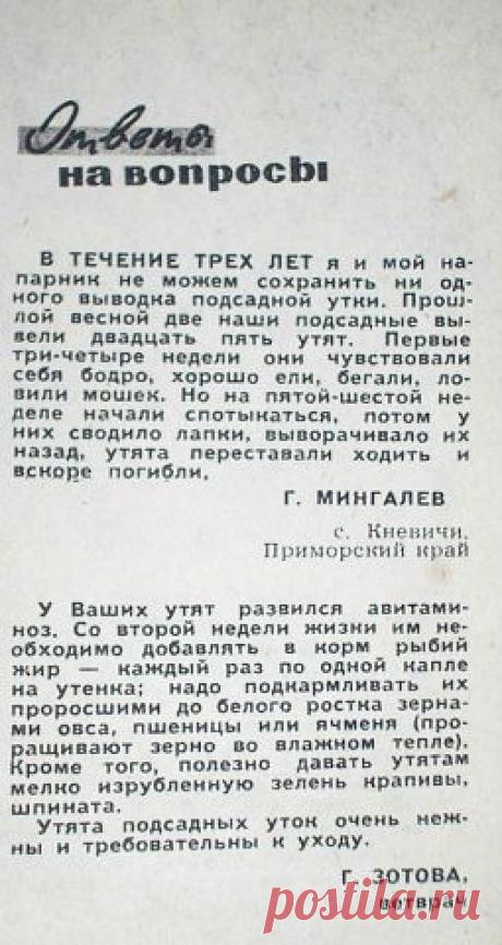 Одноклассники
