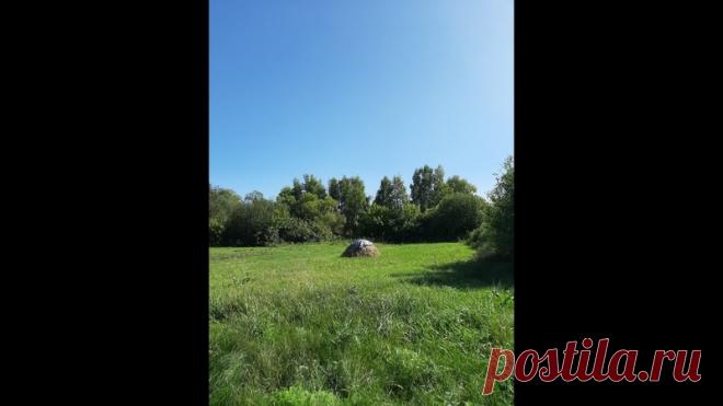 Не успели соскучиться? Тогда, во_вторых. На новом канале новое видео. Мы решили вести календарь времен года Усадьбы. День рождения у нас летом, с него и повели летоисчисление. Смотрите и хвалите. https://www.youtube.com/watch?v=KSOt7xJxFig
#eco_secretar #усадьба_эко_секретарь #самопознание #саморазвитие #экология_человека