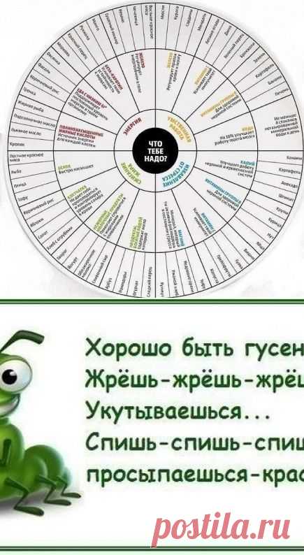 Таблица продуктов и полезных компонентов | thePO.ST