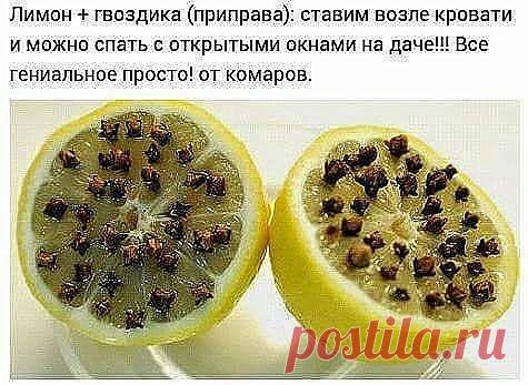 СПАСЕНИЕ ОТ КОМАРОВ !!!  **Лимон и гвоздика - всё гениальное просто!