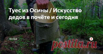 Туес из Осины / Искусство дедов в почёте и сегодня По пути следования маршрута, не редкость увидеть много доступного
природного материала для изготовления той или иной вещи, используя знания старший поколений.
