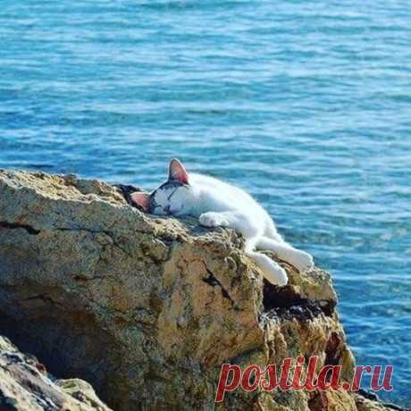 Хорошо у моря полежать в тени... 
Не считая деньги, не считая дни...