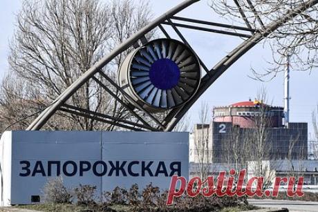 Убийство инженера ЗАЭС и неудачи Украины на фронте связали