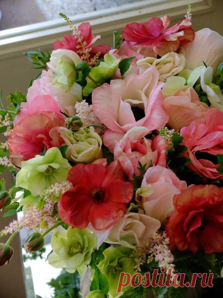 флористика