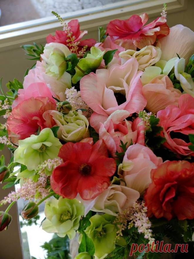 флористика