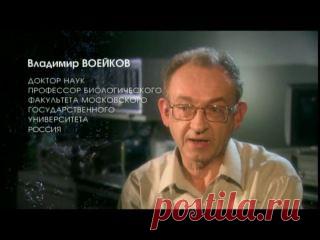 Подборка фильмов о загадках нашего бытия