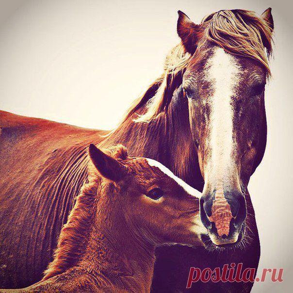 В отпуск хочу! | ВКонтакте