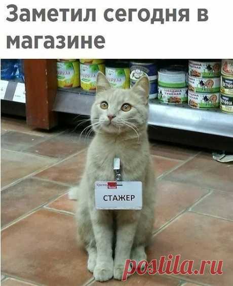 На работе