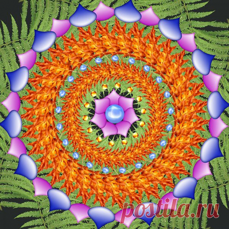 Digital Patterned Mandala  Free Stock Photo HD - Public Domain Pictures