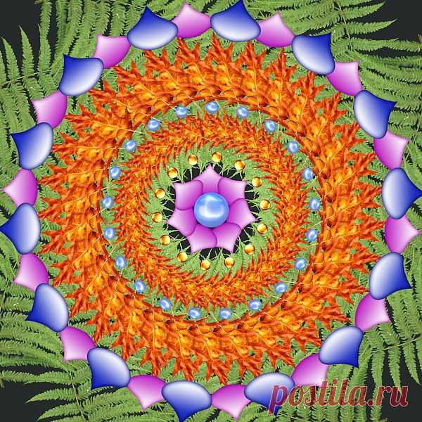 Digital Patterned Mandala  Free Stock Photo HD - Public Domain Pictures