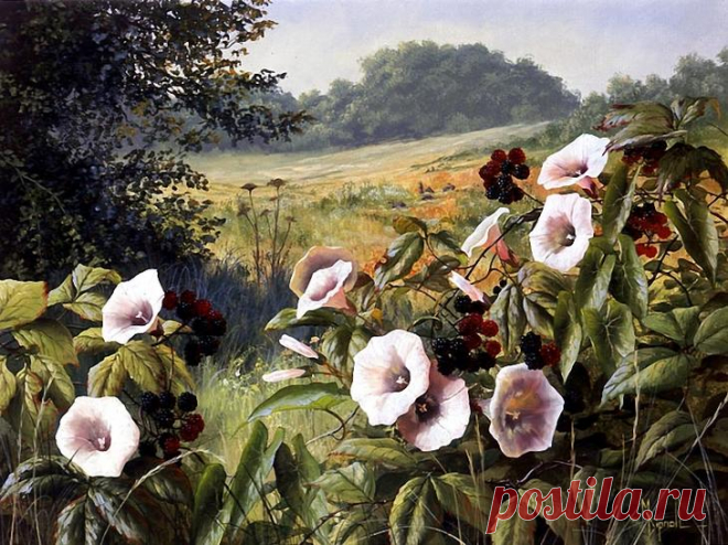 Летний пейзаж. Художница Mary Dipnall
