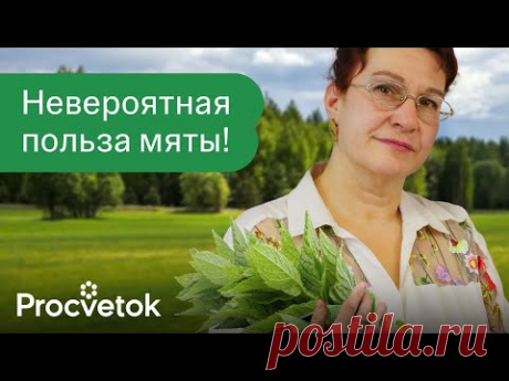СРЕДСТВО №1 ДЛЯ ГИПЕРТОНИКОВ, СЕРДЕЧНИКОВ И ЖЕЛУДОЧНИКОВ! Вот как использовать мяту с пользой!